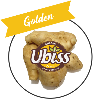 products-golden-ubiss